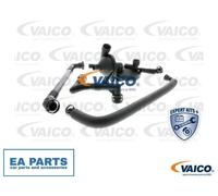 Repair Set, crankcase breather for BMW E65 E83 E36 E85 VAICO V20-1871