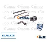 Repair Set, crankcase breather for BMW E65 E83 E53 E36 VAICO V20-1872
