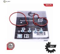 ESEN SKV 18SKV807 Repair Kit, vacuum pump (brake system)