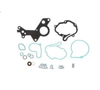 Repair Set, vacuum pump (braking system) ENGITECH ENT410002 for A3 (8P1) 2 2005-