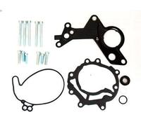 Repair Set, vacuum pump (braking system) MEAT & DORIA 91111 for A3 (8P1) 2 2004-