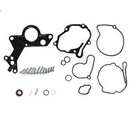 Repair Set, vacuum pump (braking system) MEAT & DORIA 91147 for A3 (8P1) 2 2003-