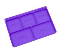 Repair Work Parts Holder Tray with Five Compartments, Compact Model Organizer, Labeled Screw Sections Model Repair Parts Tray Small Organizer Screw Sorting Hardware Holder Hobby Maintenance