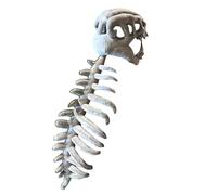 Repairing Realistic Dinosaur Skeleton Costume Set, 3D Dinosaur Halloween Costumes Outfit, Dinosaurs Skeleton Cosplay Props, Suitable for Halloween, Cosplay Parties (Gray, Kids Style)