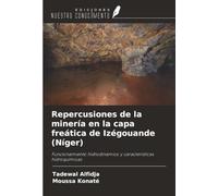 Repercusiones de la minería en la capa freática de Izégouande (Níger): Funcionamiento hidrodinámico y características hidroquímicas