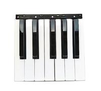 Replacement Black White Keys Keyboard Part For Korg PA500 PA600 PA700 PA300 (12 keys black white)