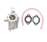 Replacement Carburetor Complete Carb Assembly with Fuel Hose for DS FE350 Gas Engine 1996-2002 High Performance Engine Carburetor for Combustion and Power