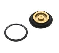 Replacement Diaphragm Combo 1