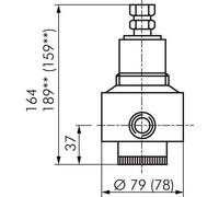 Replacement Diaphragm PTFE/NBR 1/2'' Brass