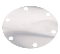 Replacement Diaphragm Stainless Steel 1''