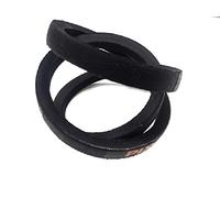 Replacement Drive Belt 202307 Pix fits Camon LA20 Lawn Aerator TC12 Turf Cutter BY PIX