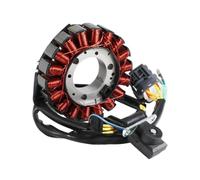 Replacement Ignition Generator Stator Coil Compatible with ATV 300 Hurricane Interceptor 300U II 300XS Assault Models Part Number 31120-169-001