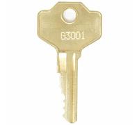 Replacement Key for Thule G3169
