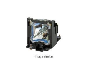 replacement lamp for InFocus LP210, LP280, LP290, LP290E, LP295, RP10S, RP10X - compatible module UHR (replaces: SP-LAMP-LP2E)