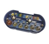 Replacement Light Bulbs Fuses Set 30 Piece Kit H4 Van Car Bike 12v