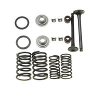Replacement Motorcycle Cylinder Valve Rebuild Kit Compatible with GY6-50 ATV Dirt Bike Go Kart