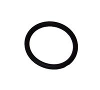 Replacement Oase Pond UVC O-Ring For Bitron C72/C110W (Part 27117)