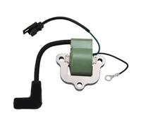 Replacement Part for Carburetor 300 Ignition Coil Compatible With Outboard Motor 18 20 25 35 HP Replaces 18-5172 0581786