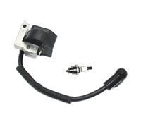 Replacement Part for Carburetor Ignition Coil Module ForLT-30 MS-30 MS-31 DST300 DBC300 BrushCutter Trimmer Weed Eater Parts369143010