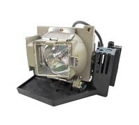 Replacement RLC-026 5811100038 BL-FP265A/DE.5811100.038/DE..038.SO for V-wsonic PJ508D PJ568D PJ588D OPTOMA EP772 TX775