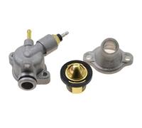 Replacement Thermostat Kit Compatible with CF250 ATV Scooter ATV Motorcycle