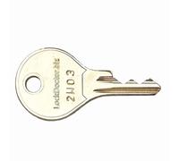 Replacement Westfalia Tow Bar Key (Range 2W01-2W50) | 2W Series | Detachable Swan Neck Keys for Land Rover, Brink & More | Key Number Required