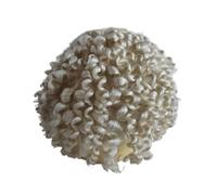 Replacement Wig Full Lace Men's Toupee Real Human Hair Replacement for Men Curly Hairpiece Daily(60 white color)