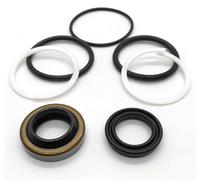 REPLACEMENTKITS.COM Brand Steering Seal Kit Compatible with CIH AG and NH AG Only Some Models Replaces SBA344960442