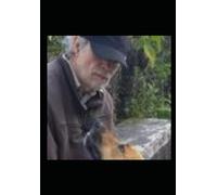Reporte del perro: guau: 1 (Palabra de animal)