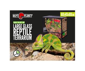Repti Planet Large Terrarium 60cm x 45cm x 60cm