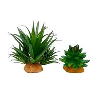 Reptile Artificial Plants Succulent Terrarium Decor Desert Rain Forests Plant Lizard Bearded Dragon Chameleon Gecko Snake Amphibian Habitat Hideout Turtle Tank Accessories (Green-2pcs-Set)