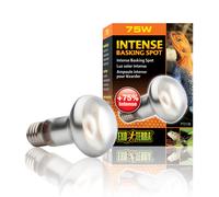 Exo Terra Intense Basking Spot Lamp Bulb 50w 75w 100w 150w Reptile Vivarium