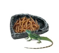 Reptile Bowl | Bearded Dragon Water Container,Spider Food Container | for Keepers Breeders Pet Parents Terrarium Enclosure Cage Shelters Shops Home Office
