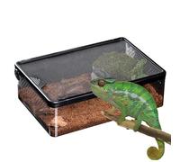 Reptile Box with Ventilation | Breathable and Anti-e-escape Safe Habitat Pet Container, Airtight for Spiders, Lizards, Beetles, Shackles and | Portable Terrarium Pe