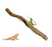 Reptile Branch, Reptile Branches for Climbing - Unique Backdrop for Climbing Reptiles - Natural Reptile Decoration, Decoration of the Wooden Tree Trunk, Not - Habitat Decorations for Ser