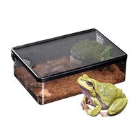 Reptile Breeding Box | Transparent Vented Terrarium 22×32×10cm, Clear Anti-Escape Pet Habitat Case for Beetles, Scorpions, Crickets, Spike