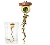 Reptile Climber Toy - Terrarium Decoration Arboricultural Frog, Habitat Decoration for Tree Frogs - for Caregivers Breeders Pet Parents Educators School Projects Home