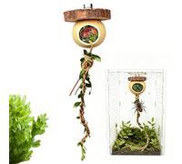 Reptile Climbing Rope Praying Mantis Toy