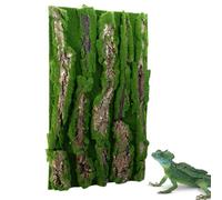 Reptile Cork Terrarium Background, Habitat Decorations Lizard Bark Bark | Reptile Habitat Decor with Artificial Moss for Gecko Chameleon Frog Lizard