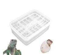 Reptile Egg Incubator Tray - 16 Grids Transparent Egg Hatching Incubator - Incubation Box for Reptile Egg Development, Hatching Case, Hatching Tray