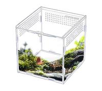 Reptile Enclosure - Acrylic Clear Habitat - Lizard Tank | for Breeding Feeding Small Reptile Jumping Spider Lizard Snake Frog