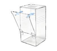 Reptile Enclosure - Jumping Spider Enclosure, Praying Mantis Enclosures Spider Tank | Transparent Insectt Terrarium Observation For Housing Tarantula Gecko Frog Lizard Crickets Beetles Setup
