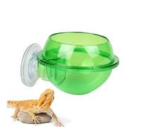 Reptile Feeder A | Gecko Ledge Water, Feeder, Chameleon Lizard, Bearded Snake, Dragon