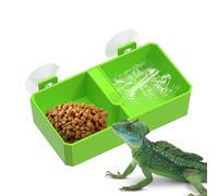 Reptile Feeder A - Removable 2 Sections for , Vegetables & Water | Safe Food Container for Lizards & Amphibians | Handy Pet Supplies Domest
