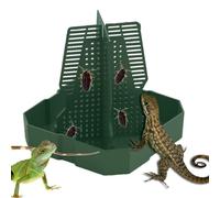 Reptile Feeder Bowl - Food Dish With Prey Climbing Column, Aquarium Tank Accessory, Live Worm Organizer | Lizard Bearded Dragon Gecko Frog Habitat Feeding Professional Setup Home Terrarium Use