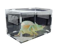 Reptile Feeder Box - Lizard Container | Clear Tarantula Terrarium | Heavy Duty Aquarium Breeding Pool for Snail Habitats for Feeding or Transporting Spiders, Scorpions, Praying Mantis