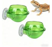 Reptile Feeder Dish Set of 2 with Suction Cup for Gecko Lizard Bearded Dragon Cricket Worm Water Green