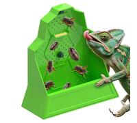 Reptile Feeder - Leak Prevention Design, Reptile Feeding Dish, Tank Accessories | Anti-Escape Hunting Bowl for Chameleon Frog Snake Spider Amph