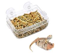 Reptile Feeder, Transparent Amphibians Feeding Basin with Suction Cup for Gecko Snakes Snakes Chameleon Iguana