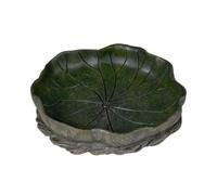 Reptile Feeding Basin, Size L